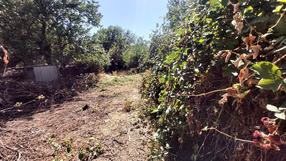 Дачный участок. Класное местоположение.