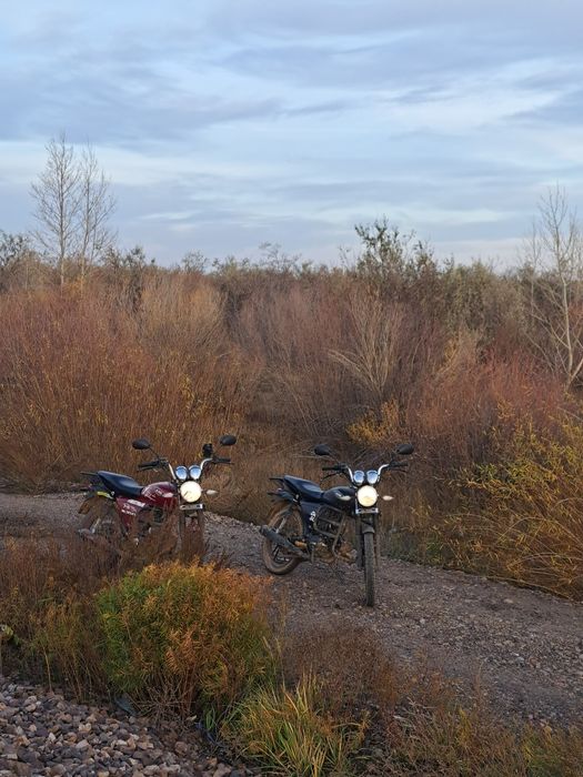 Продам мопед марки Minsk D4 50