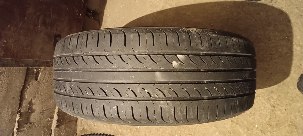 205/55/16 летние