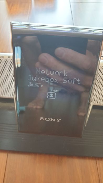 Boxă Sony NAS-IXOO1P