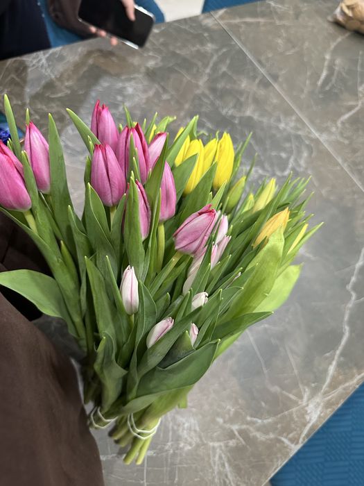 Тюльпаны ОПТОМ