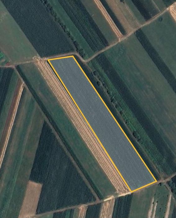 Teren de vânzare, Orlat