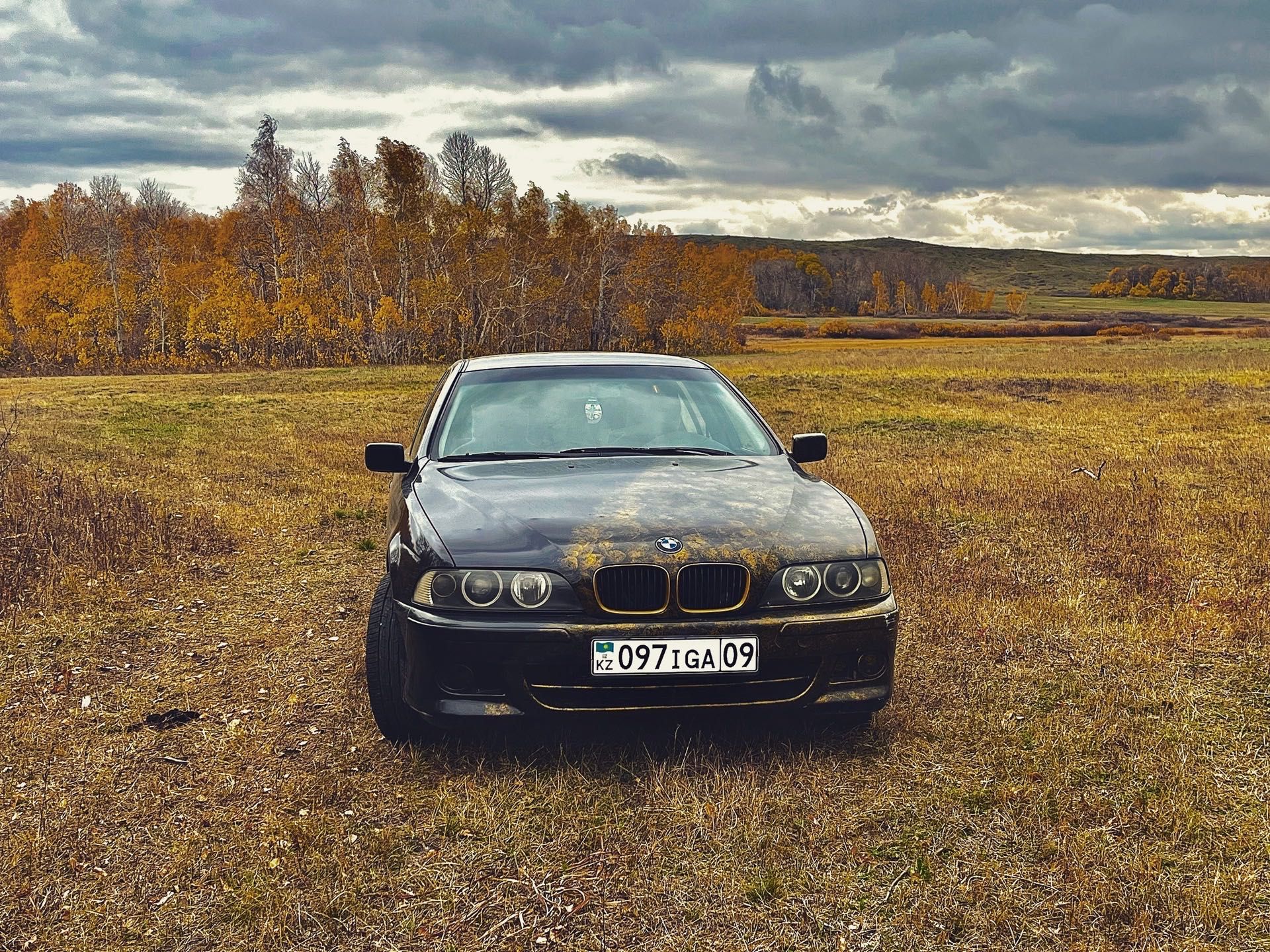 музыка - BMW - OLX.kz