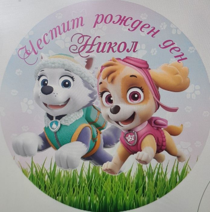 Винил фон за рожден ден със скай и еверест за кръгла арка 180см