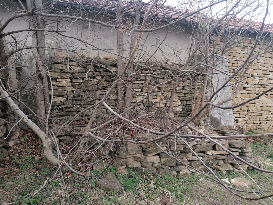 Камъни от с.Паскалевец, общ.Павликени