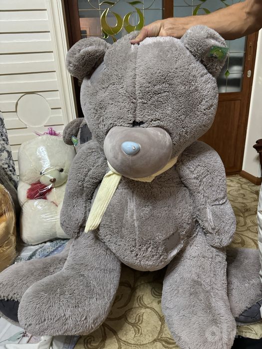 Teddy 1,10sm yangiday