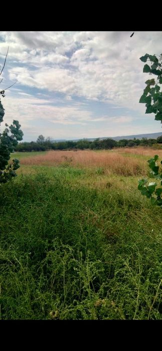 Teren intravilan Campineanca