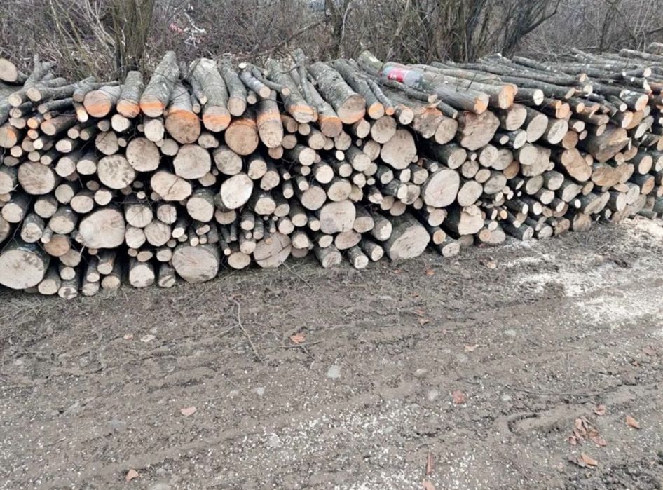 Lemne de foc esenta tare