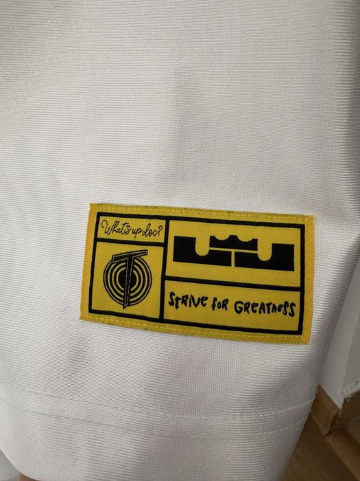 Nike LeBron DNA Jersey 'Tune Squad'