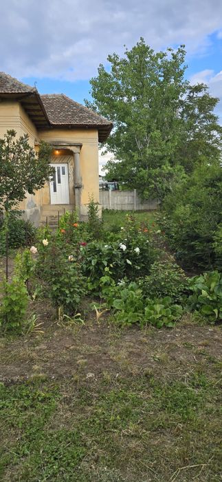 Casa comuna Izvoare, jud Dolj sau pachet casa plus 15 ha teren arabil