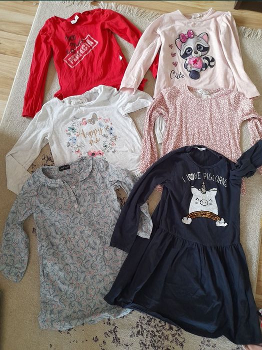 bluza bluze h&m danina line 4 5 6 ani marime 110 116 impecabile