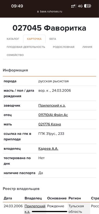 Иноходец Американец Жорға