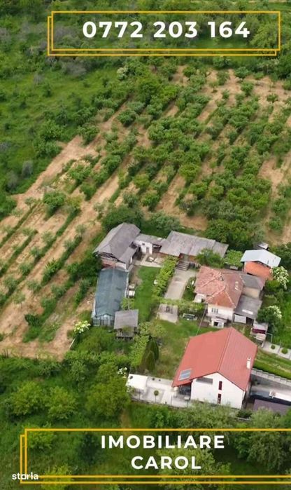 Teren 31.508 mp + Casă! 295.000 E Com. Golești, Sat Opătești, Vâlcea.
