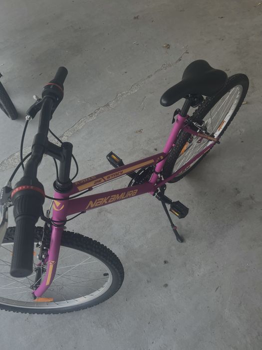 Bicicleta Dama Simpla