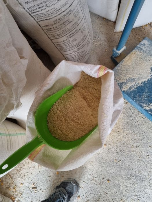 Vand porumb grau si faina amestec