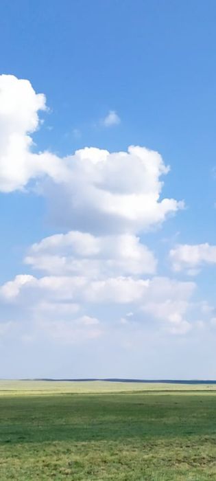 Земля для пастбища