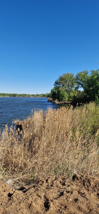 Продам дачный участок