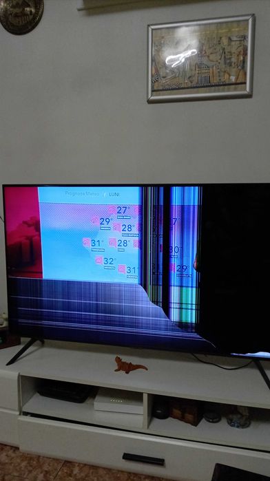 Televizor Samsung defect ecran