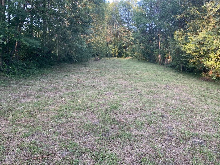 Vand teren Pucioasa, 1016m2