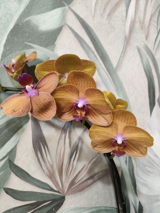 Не знаешь что подарить?