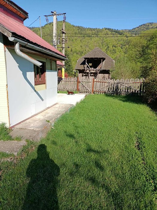Teren la munte 2000 mp, 12m deschidere, Tarcău Neamț, Poiana Soarelui – casă din lemn neterminată, curent și livadă, la marginea pădurii - Vedere 2
