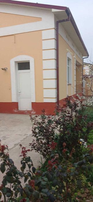 Шахрисабз шахри, катедж 6 сутик