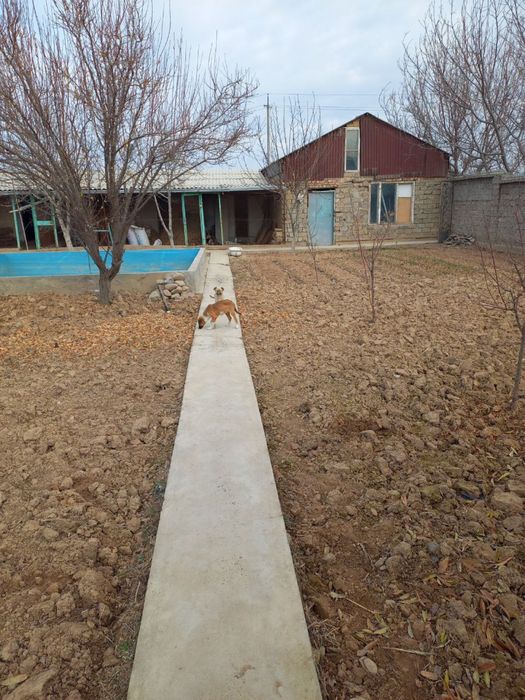 Продается своя дача