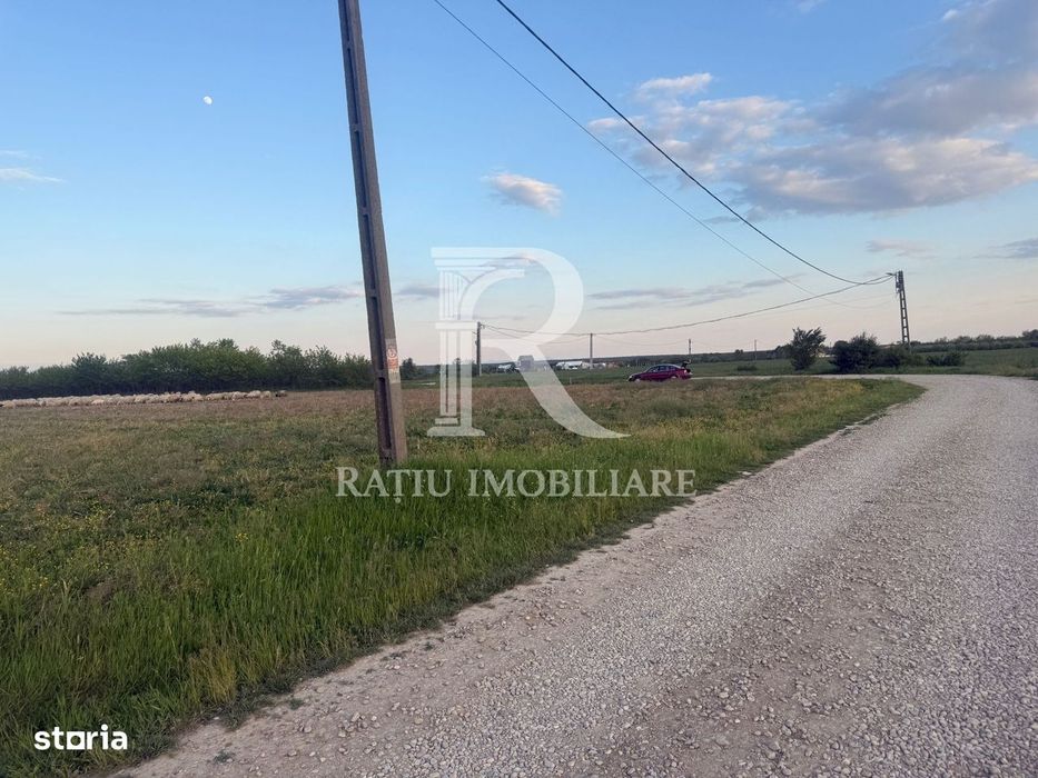 Teren extravilan | Păușa | Bihor