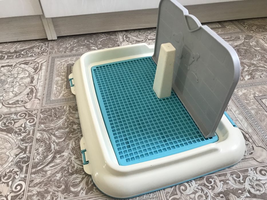 Туалет для собаки