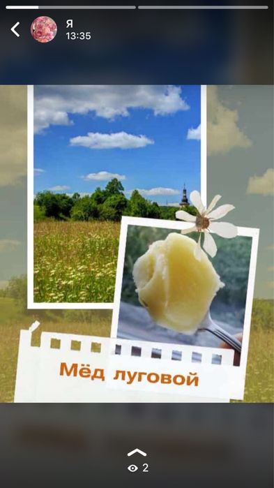 Мед майский