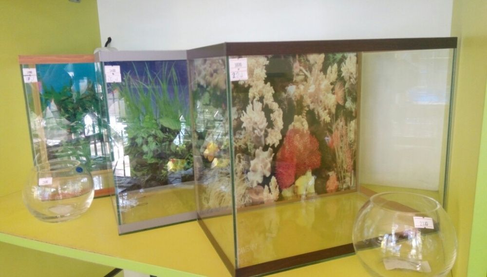 Аквариум на 15 литров