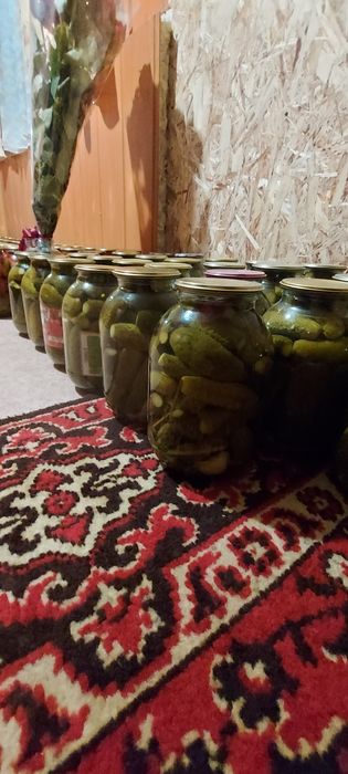 Продам вкусные огурцы