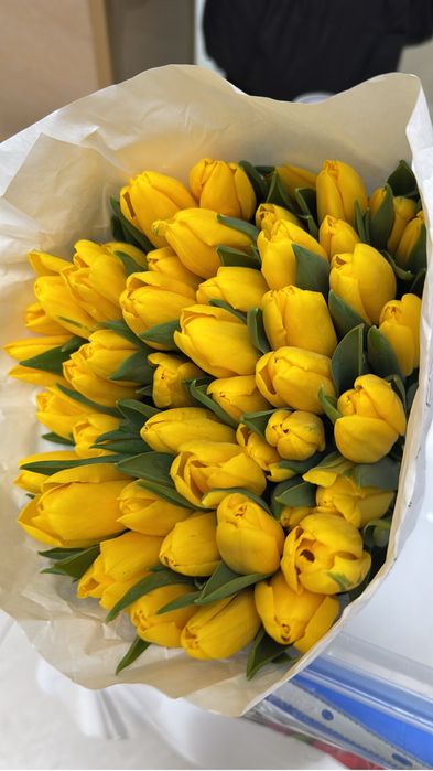 Белорусские оптом 50-100 шт