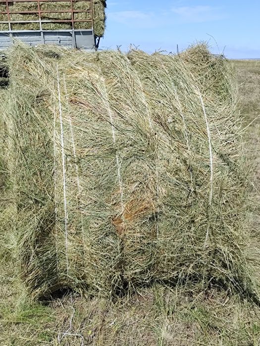 Продается сено в рулонах