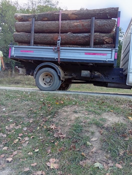Lemne de foc fag esență tare