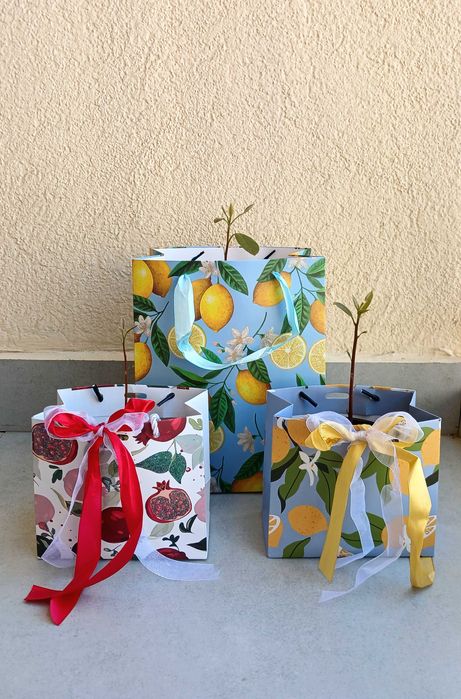 Только до 1 мая! Дерево авокадо в горшке, саженцы