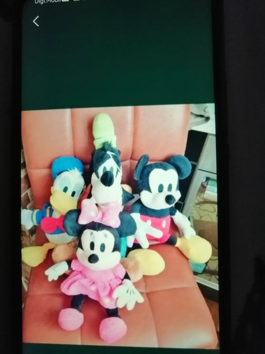 Miky mouse și gașca
