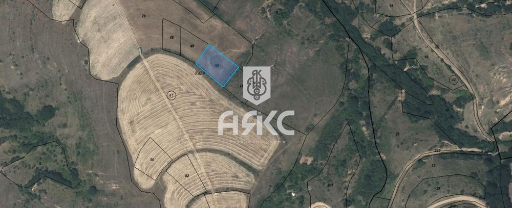 Продава се Парцел в с. Сапарево, Област Кюстендил - 1603 кв.м за 24 €/кв.м - Снимка #2