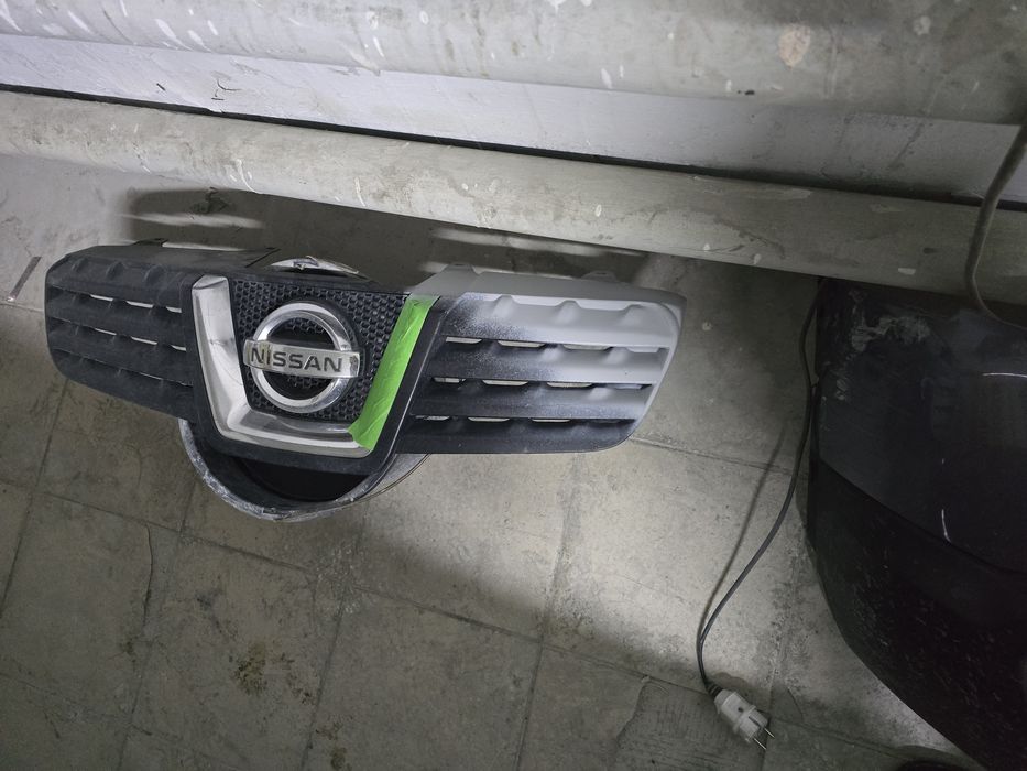 Костоправ-маляр.