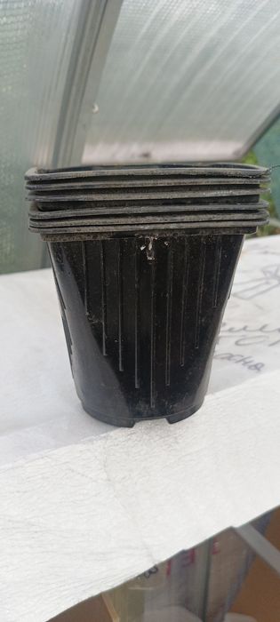 Горшки для рассады