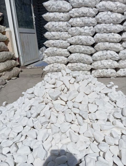 Galka/Галка 24/7