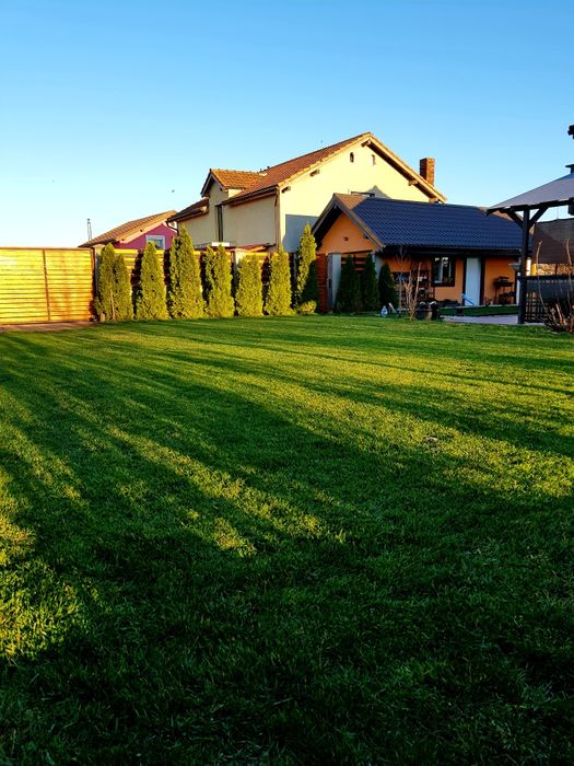 Scarificator aerator profesional