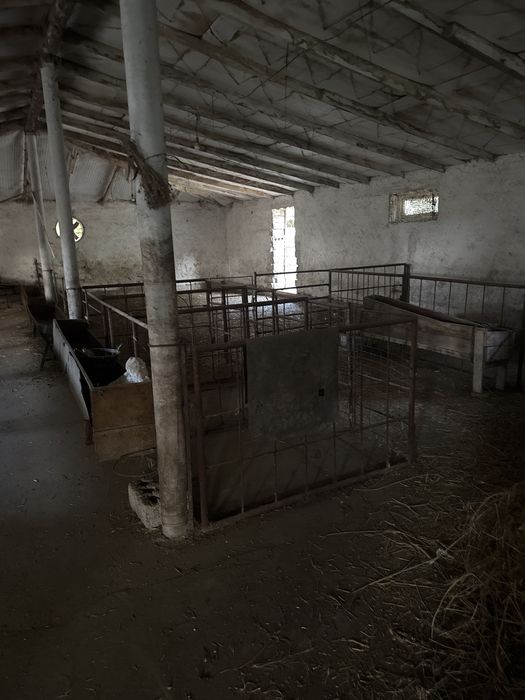 Урта чирчик  Таракийот МФЙ С. Полатов кочаси 152 уй