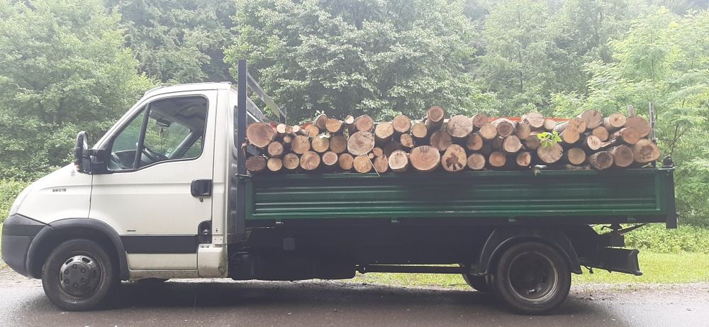 Transport moloz, nisip, pietriș, pământ, lemn.