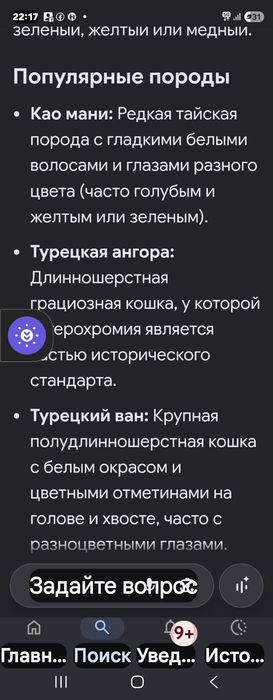 Продам котят турецкой породы