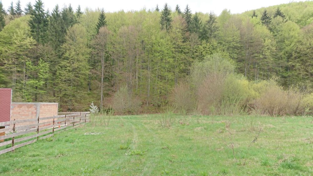 Teren de vanzare la munte valea bozumului