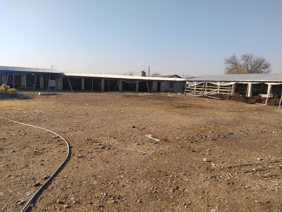 Янгийўл тумани Калган ҳудудида жойлашган 80 сотих ер сотилади