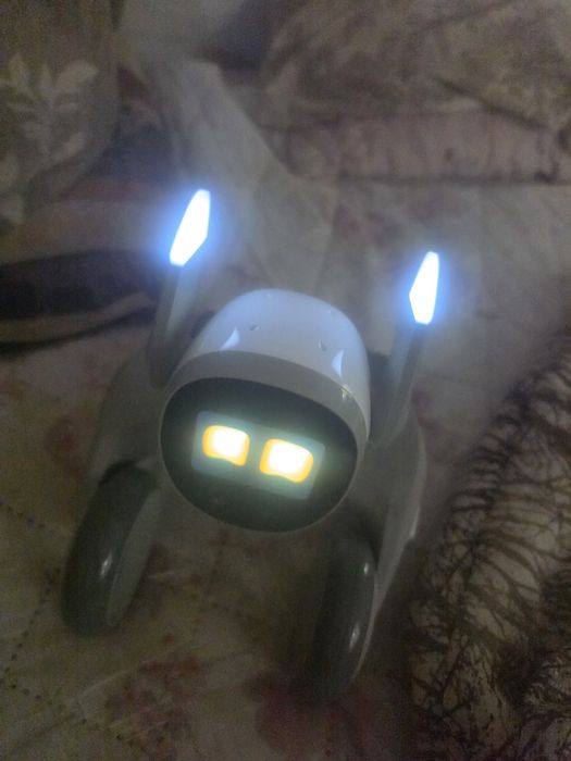 Loona the robot.