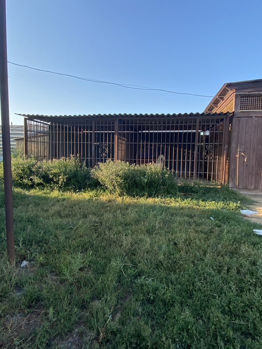 Вальер сатылады.  Екеуі бірге