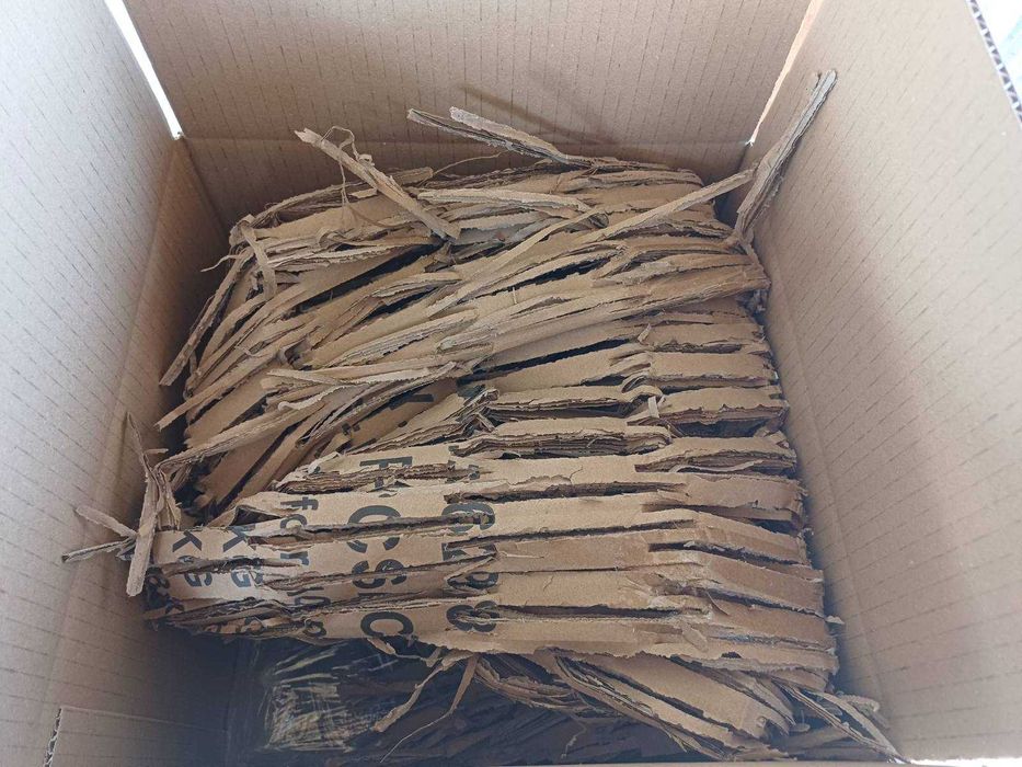 Оплодени яйца от "Черен Австралорп" / Яйца за люпене